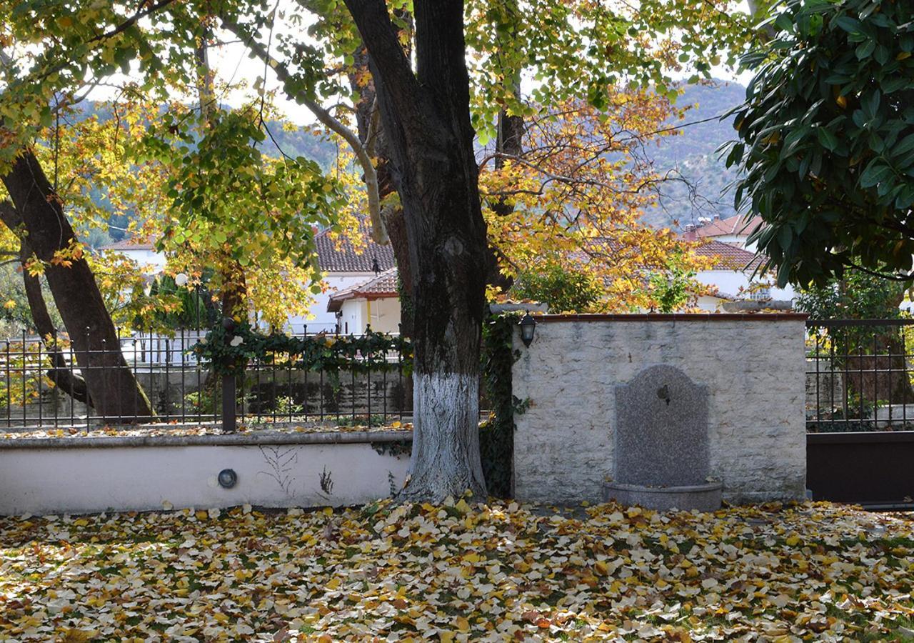 Вилла "The Plane Trees" Polikarpi Экстерьер фото