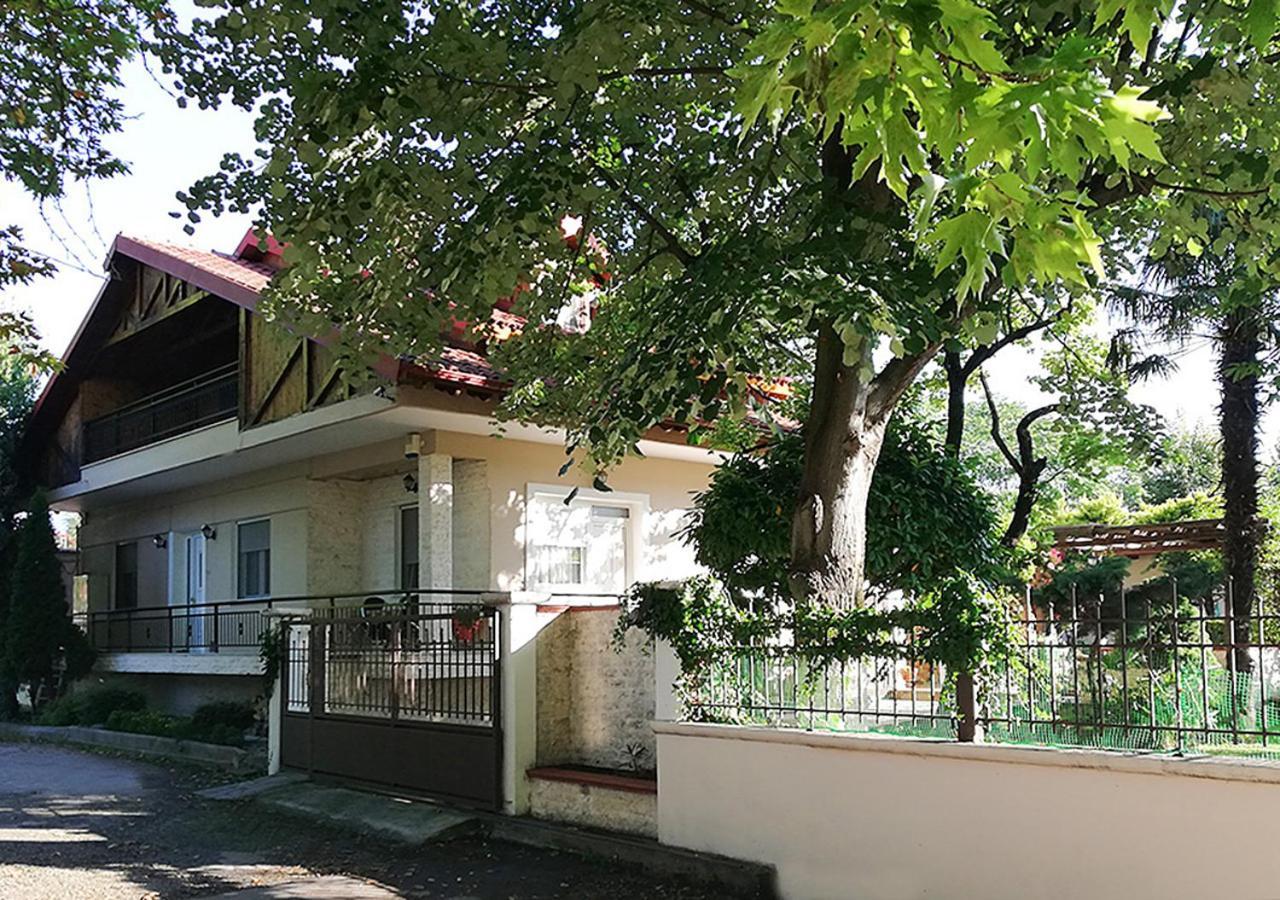 Вилла "The Plane Trees" Polikarpi Экстерьер фото
